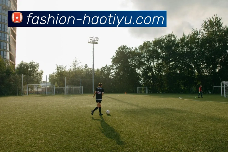 数据分析功能